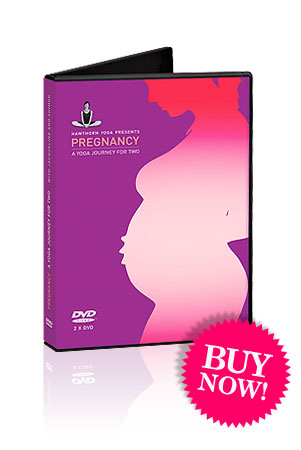 Pregnancy: A Yoga Journey for 2 Prenatal DVD